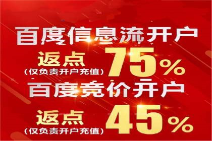 揭秘百度竞价排名：实战案例解析